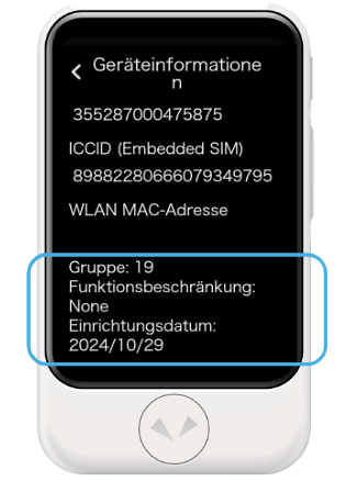 Geräteinformationsbildschirm des Geräts